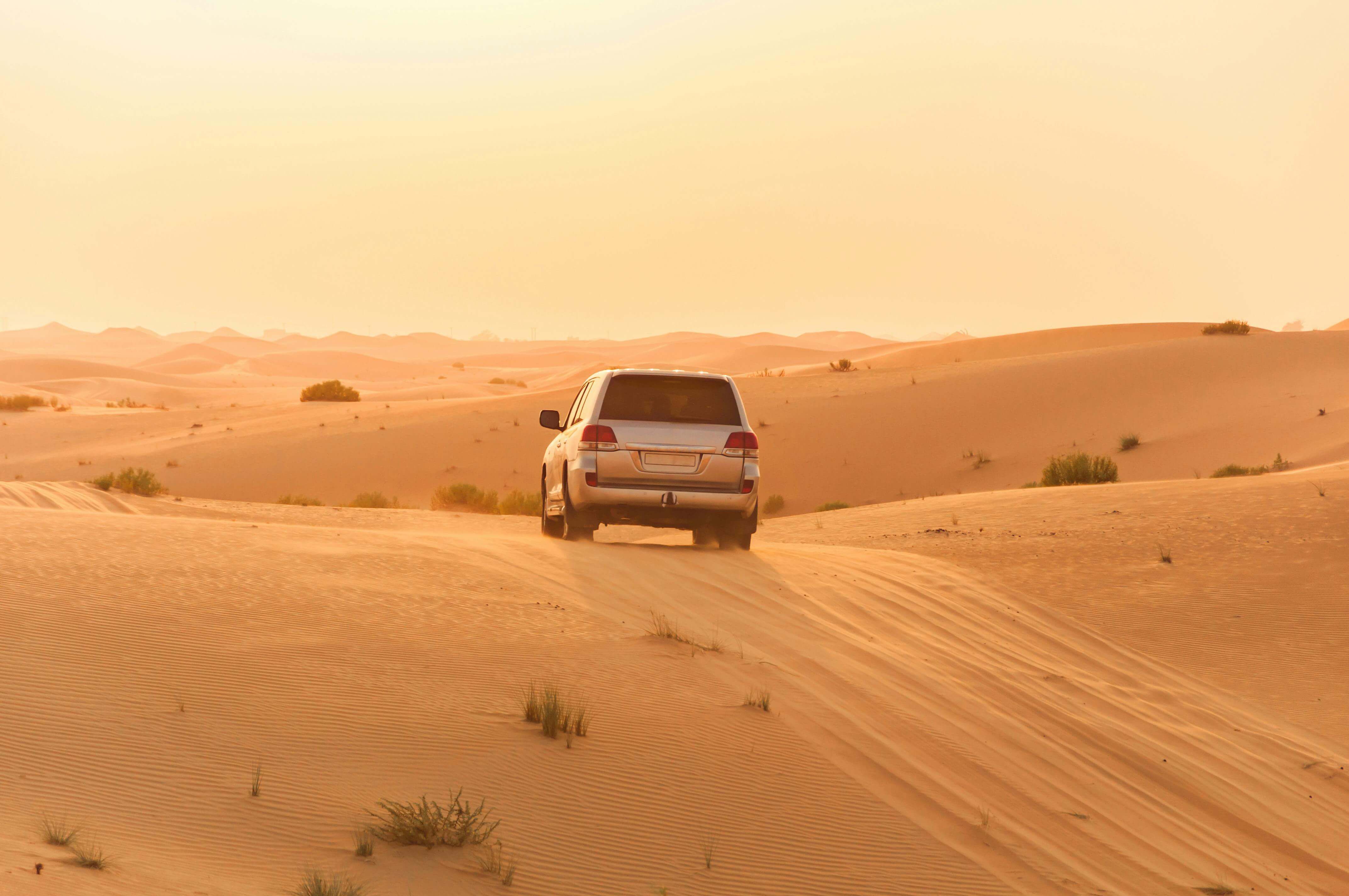 Atractie Safari in Desert