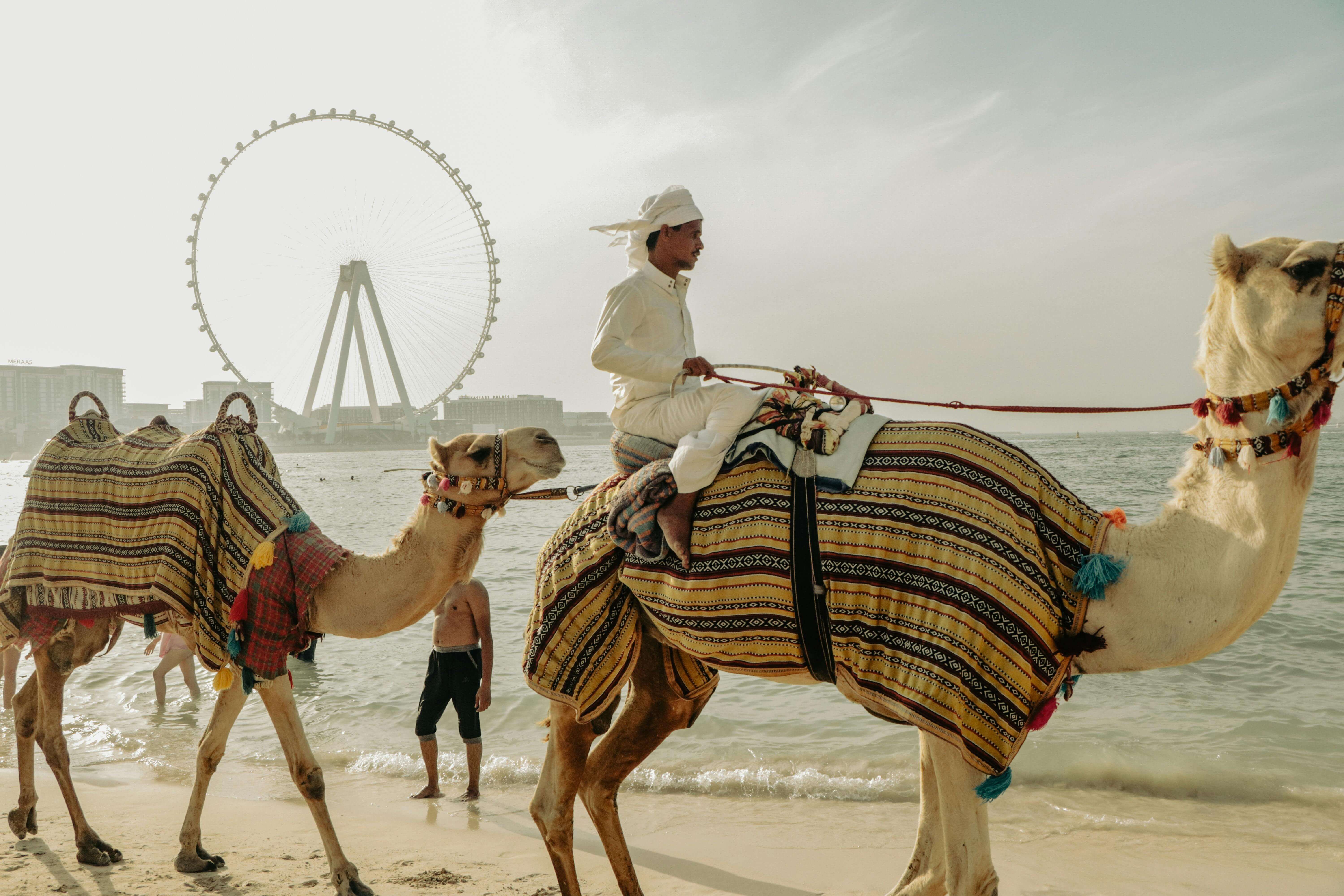 Beach club Dubai top 10