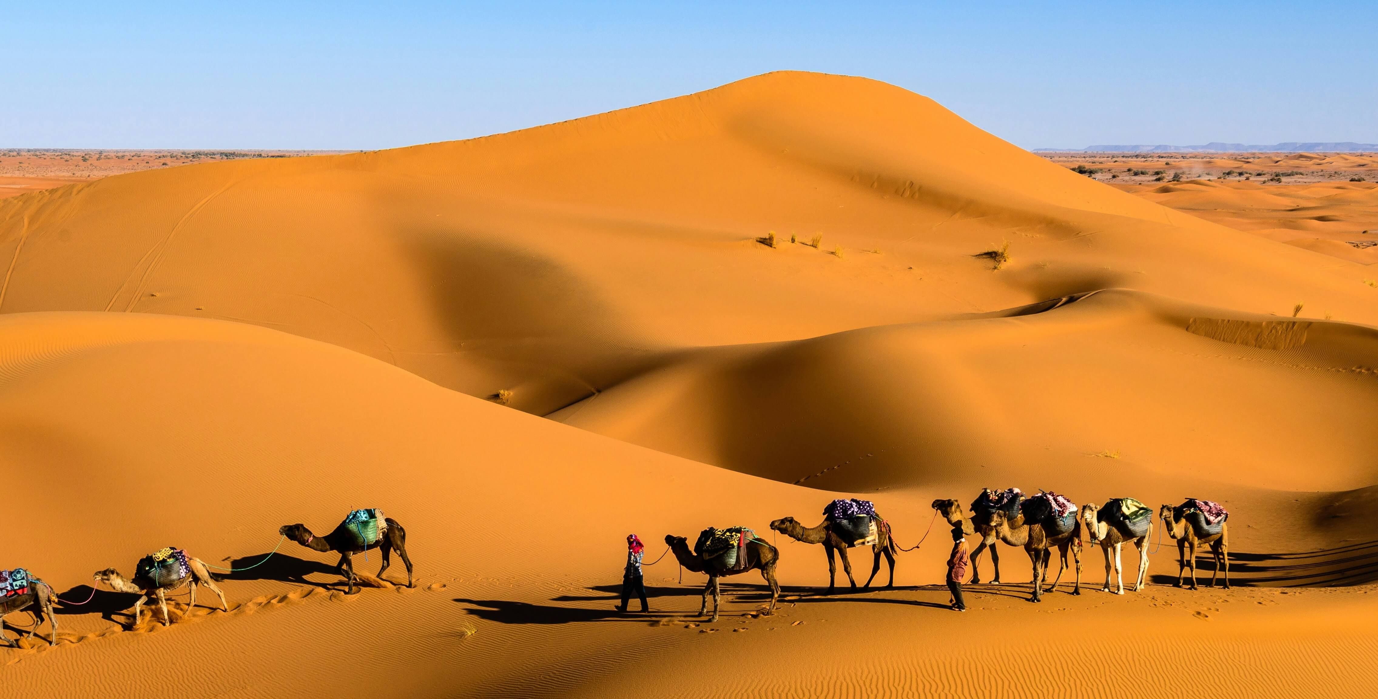 Bedouin culture