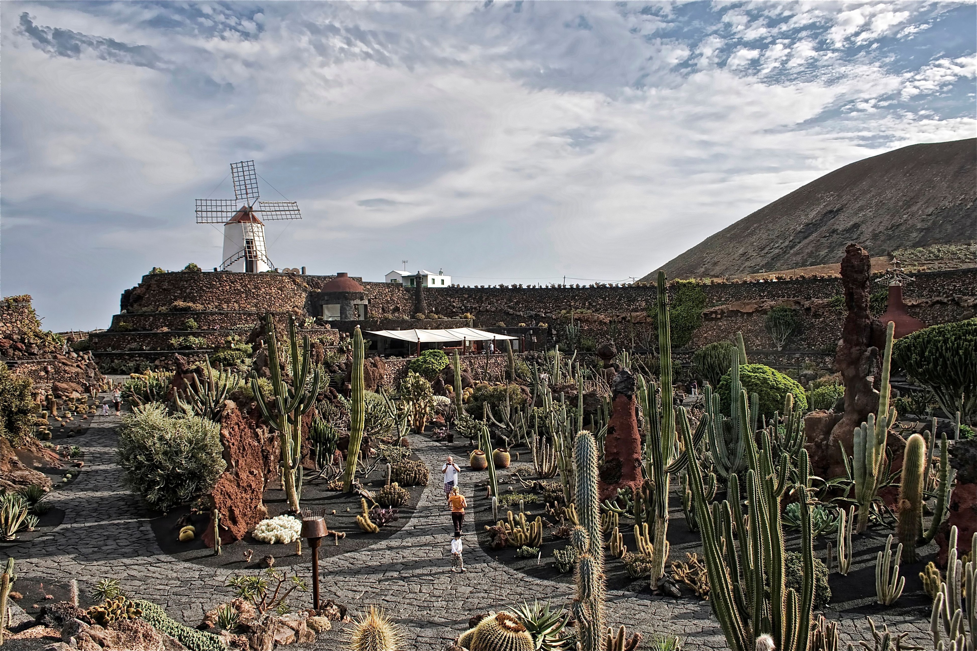 Jardín de Cactus