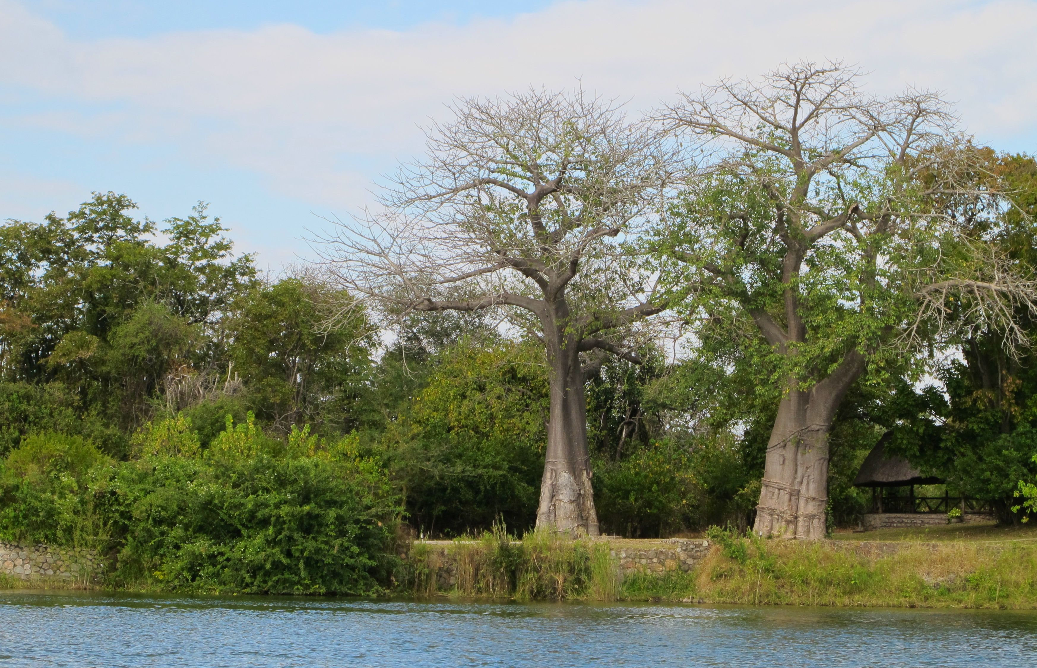 Liwonde National Park