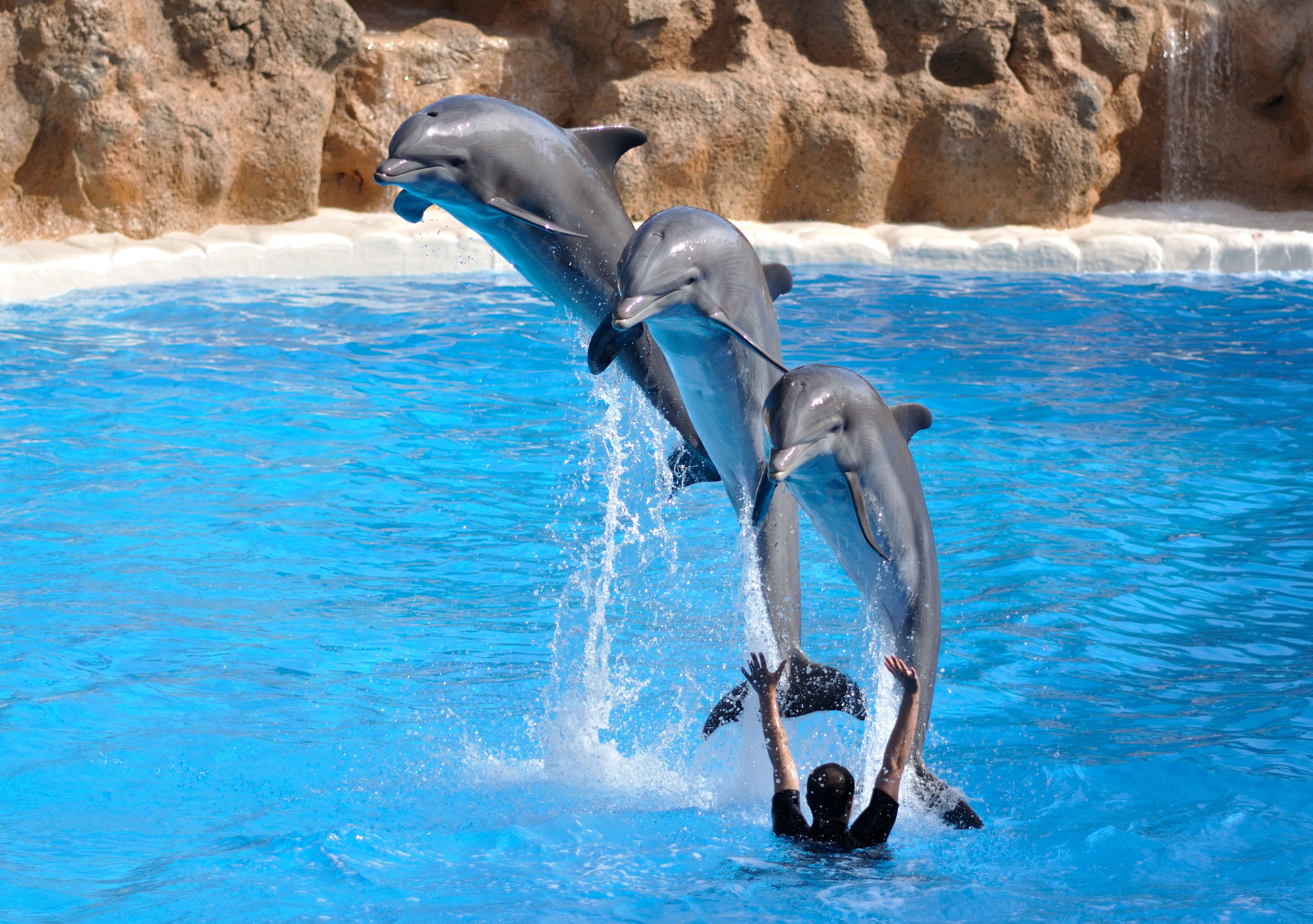 Loro Park