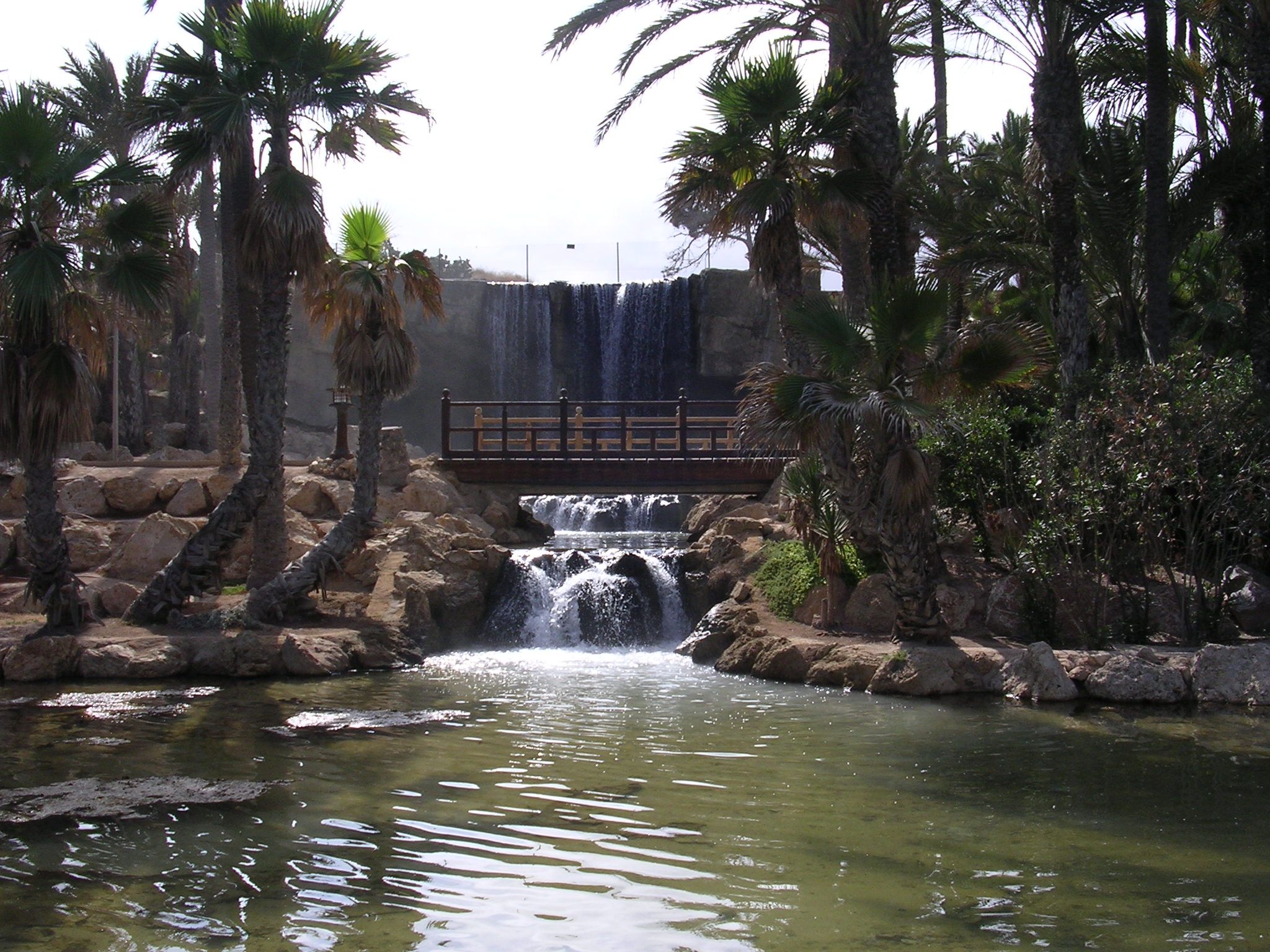 Parc El Palmerar