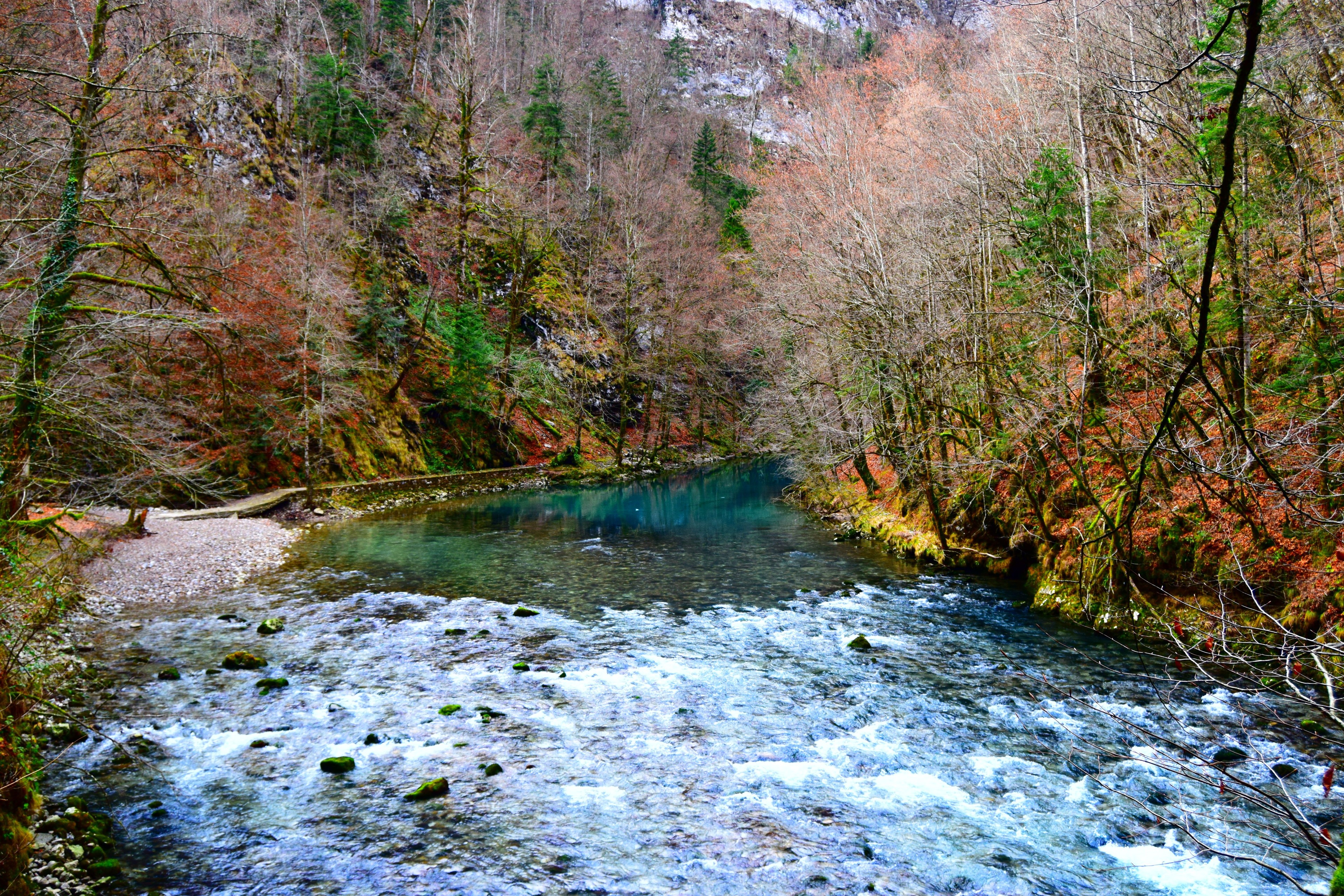 Park Narodowy Risnjak