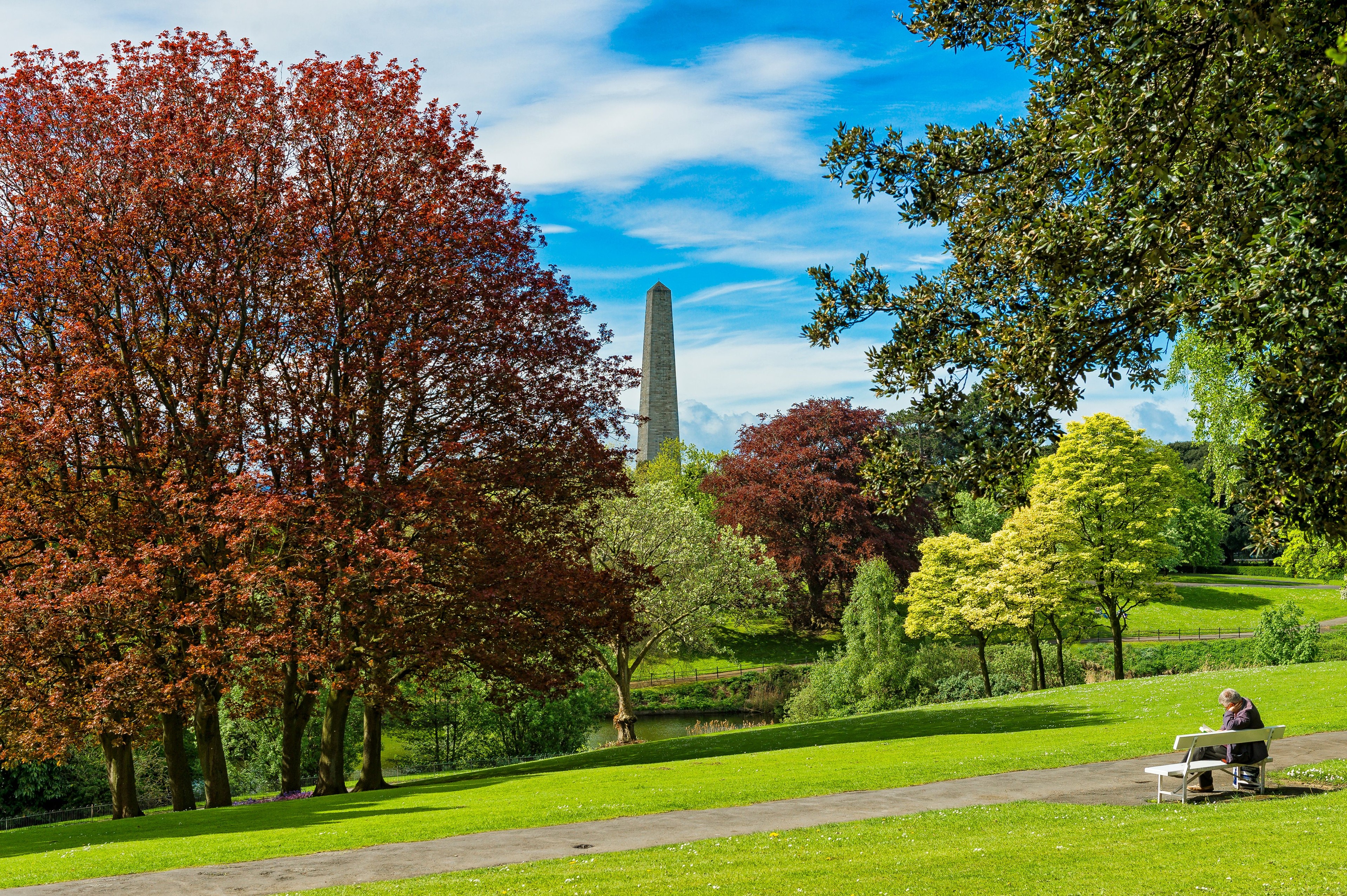 Phoenix Park