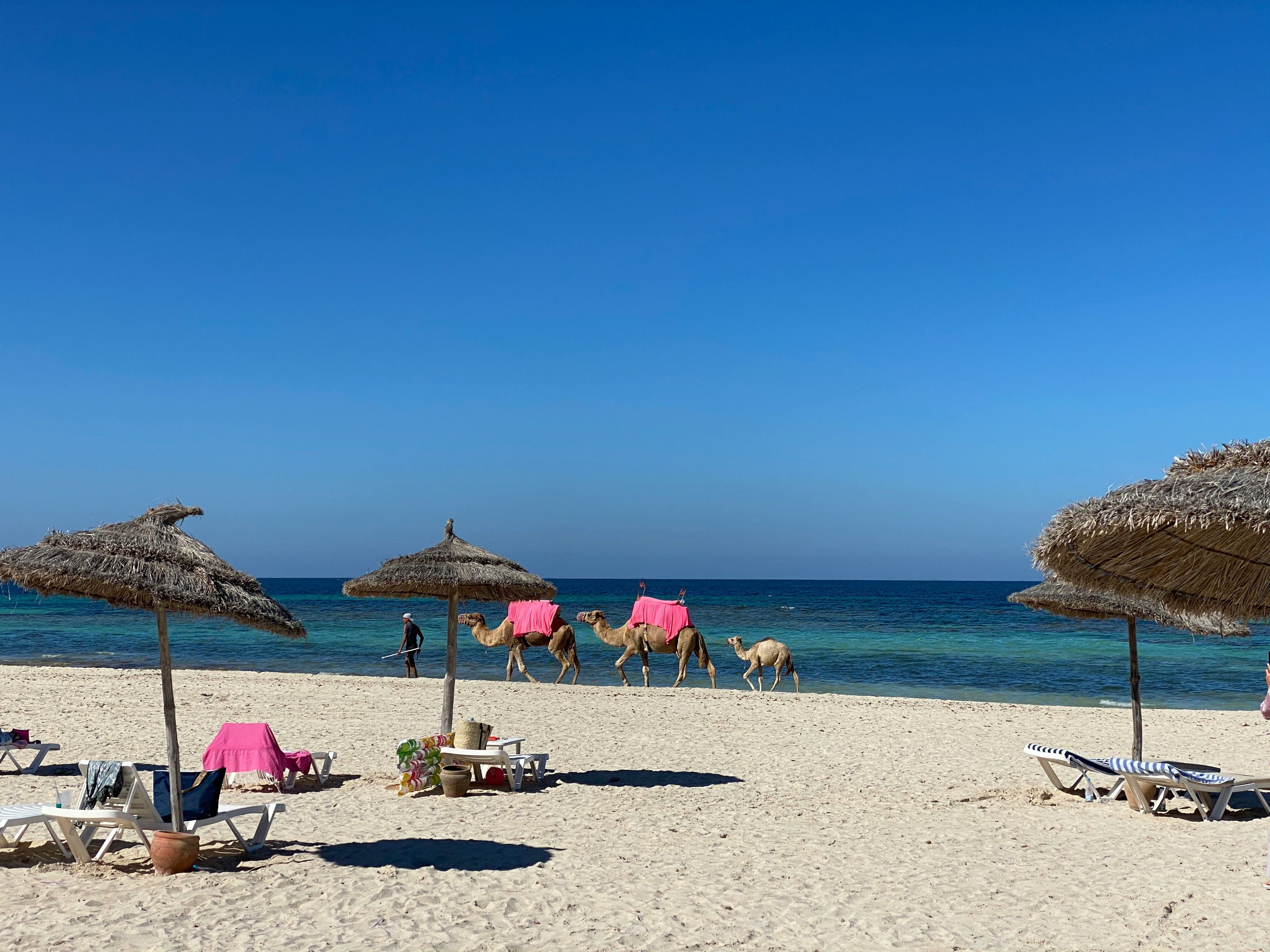 Plaże Djerby