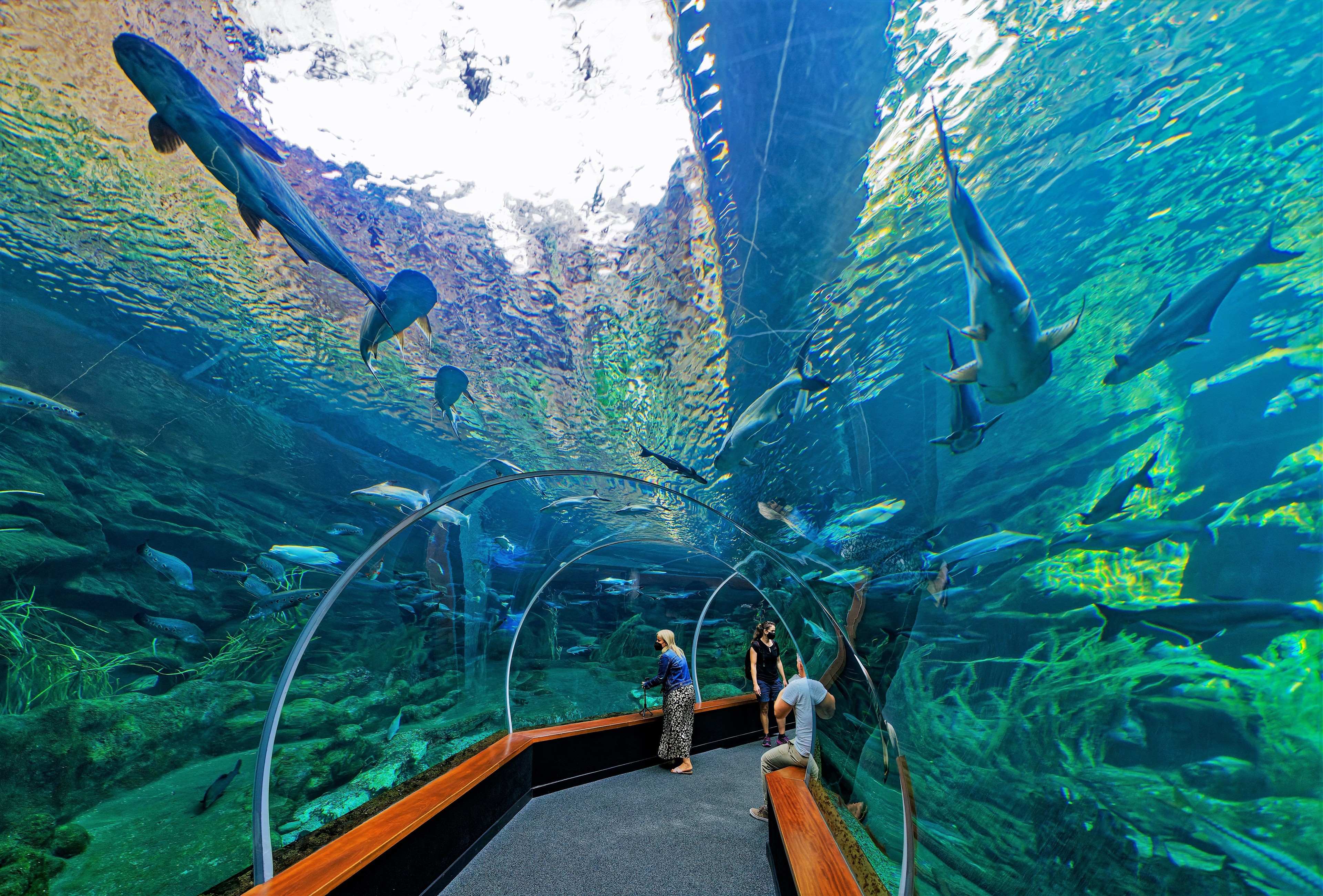 Poema del Mar Aquarium