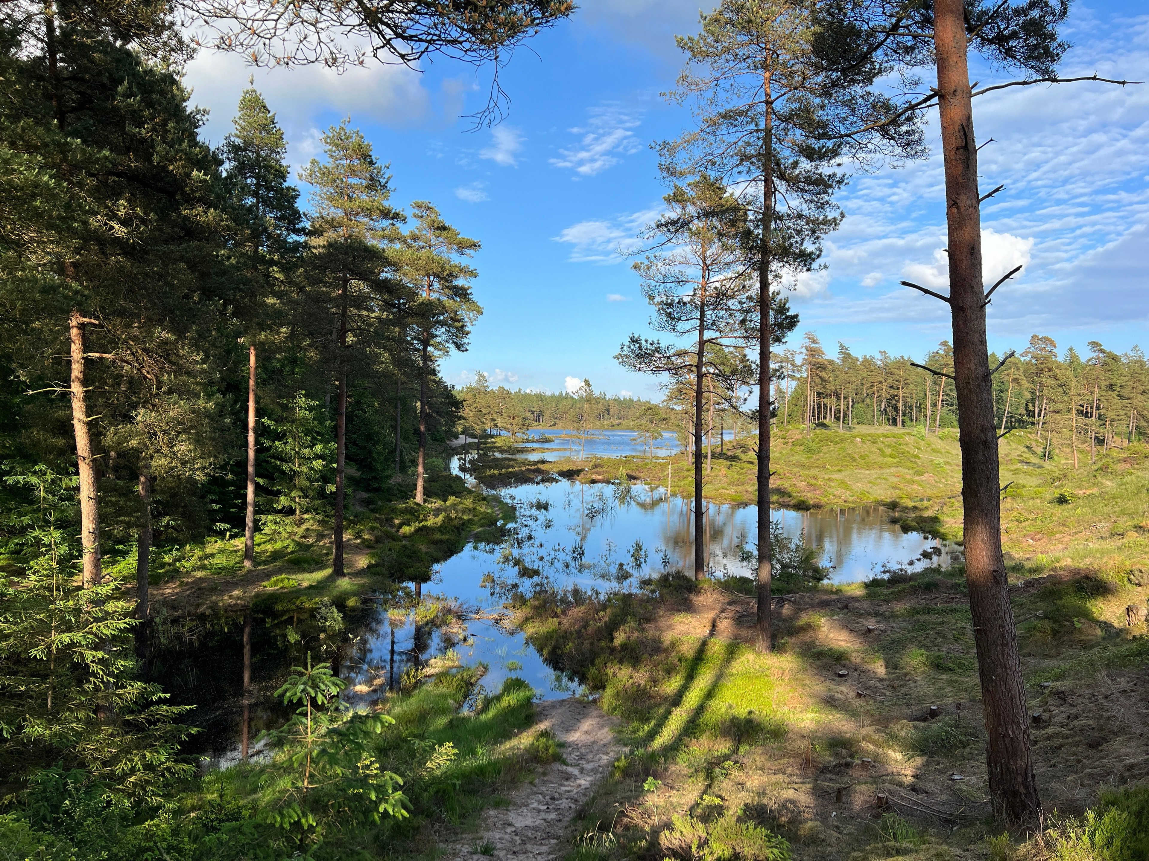 Syvårssøerne
