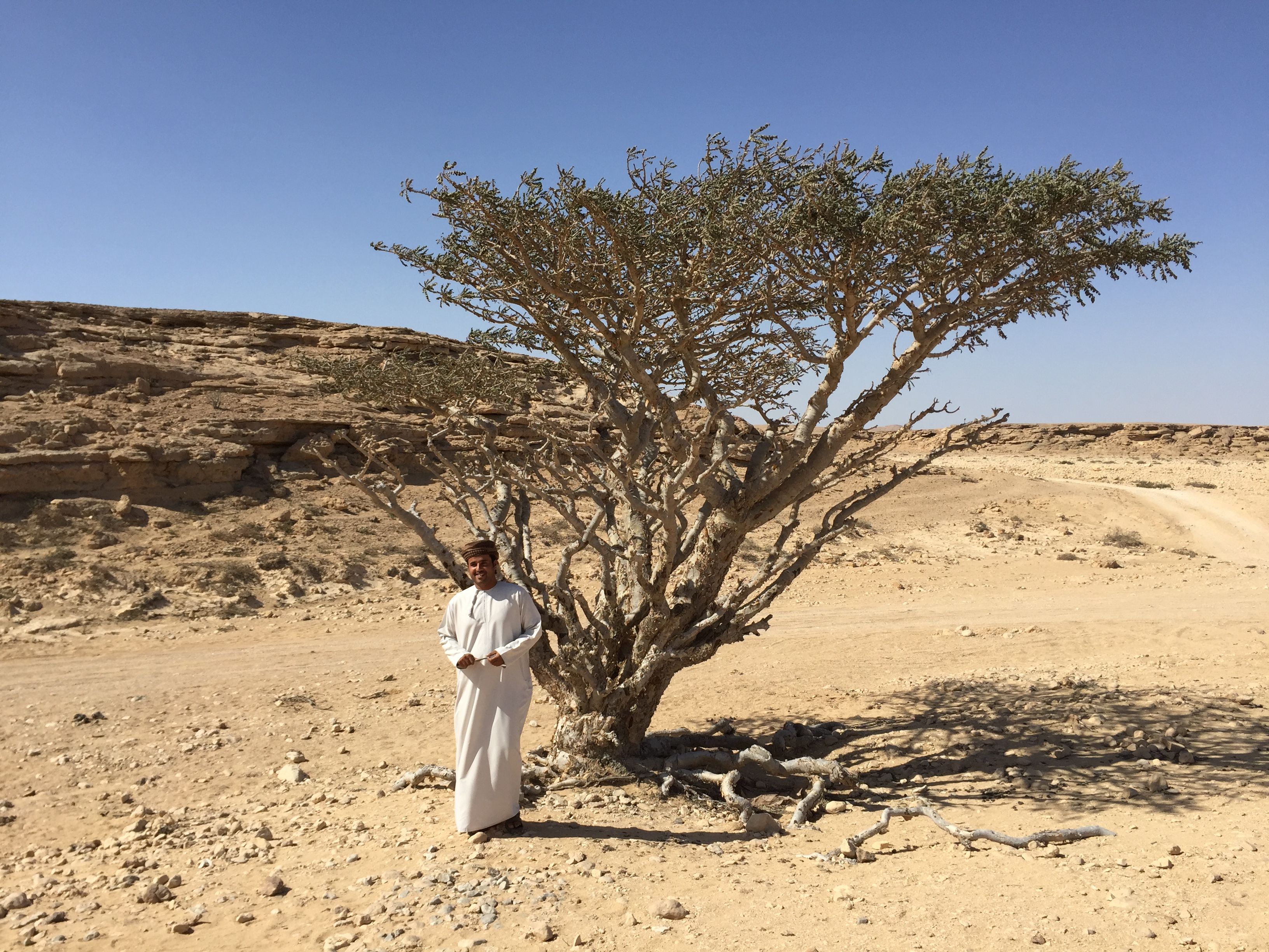 Wadi Dawkah