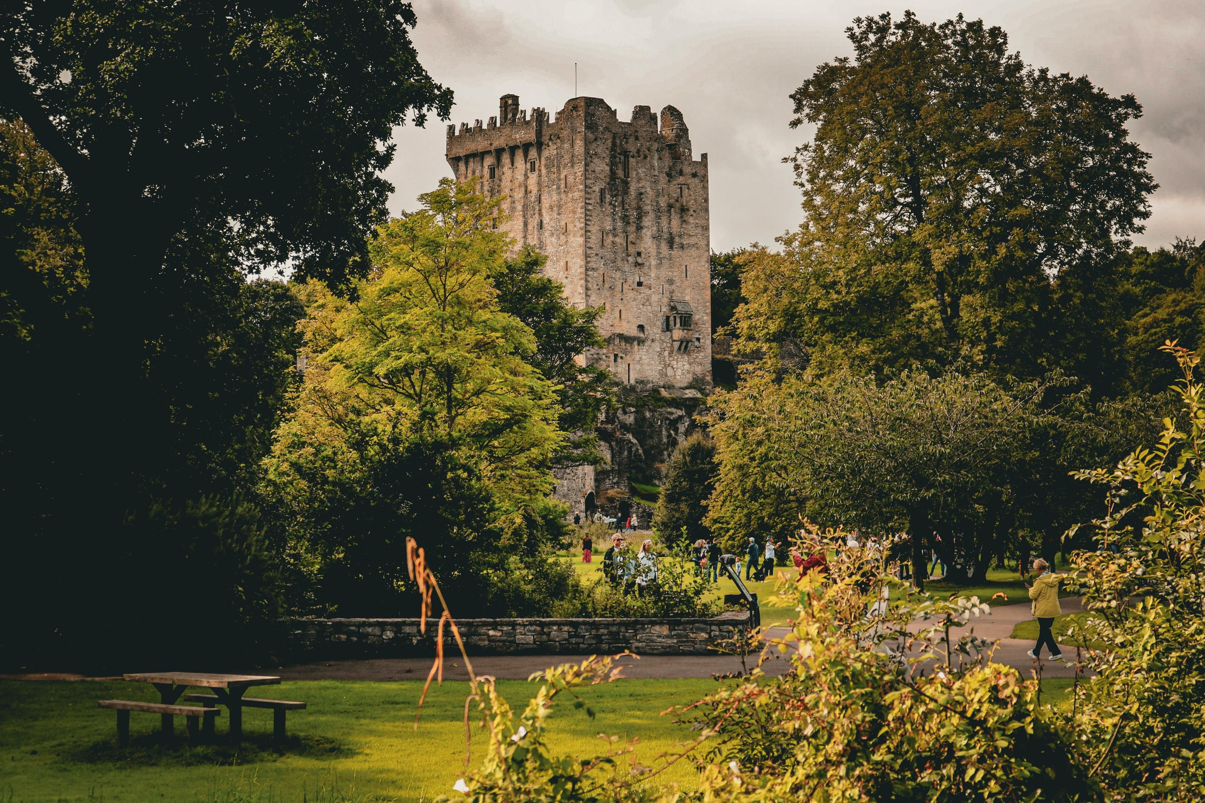 Zamek w Blarney