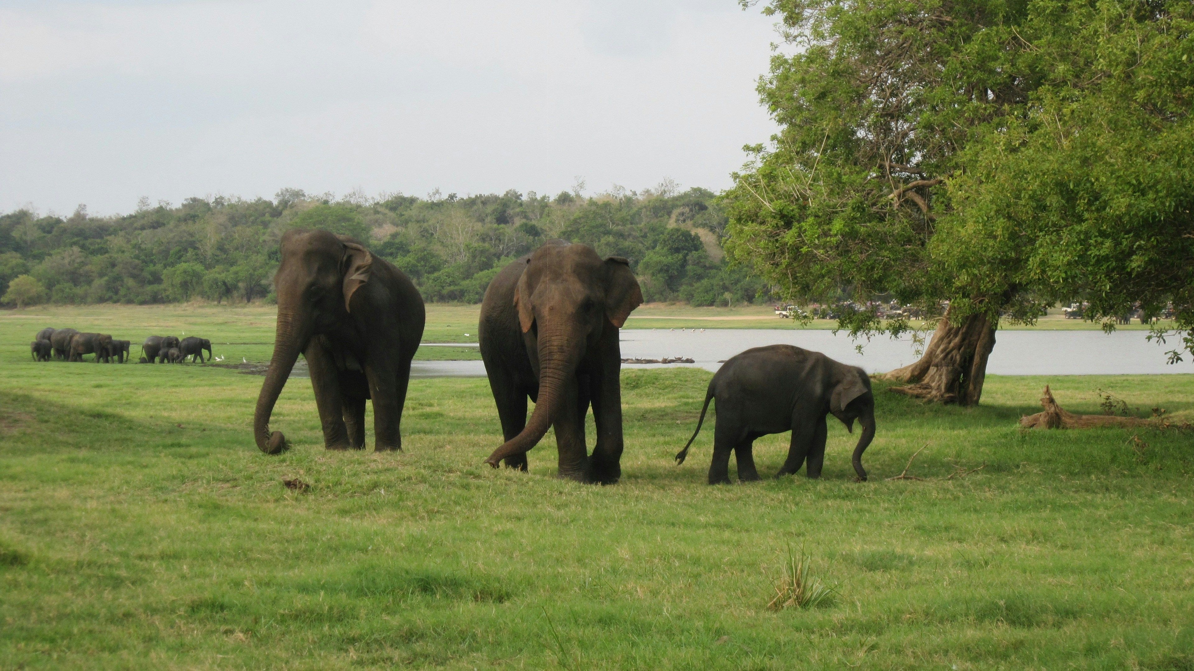 Uganda Wildlife Education Centre