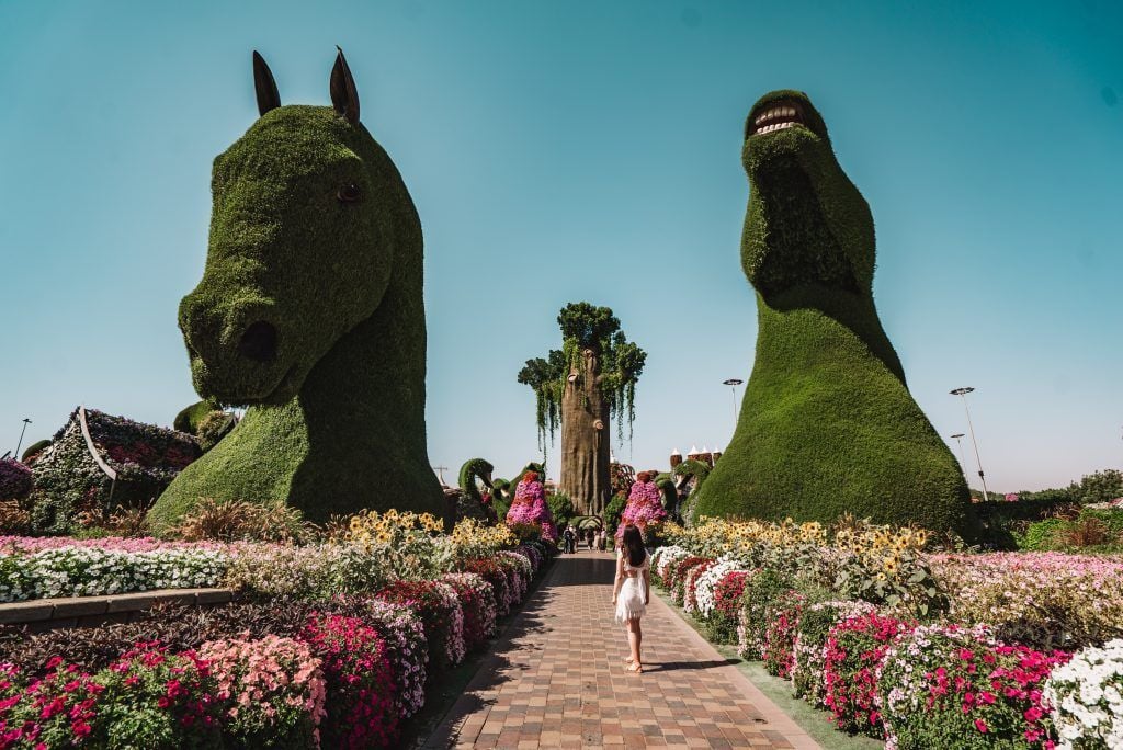 Miracle Garden w Dubaju.