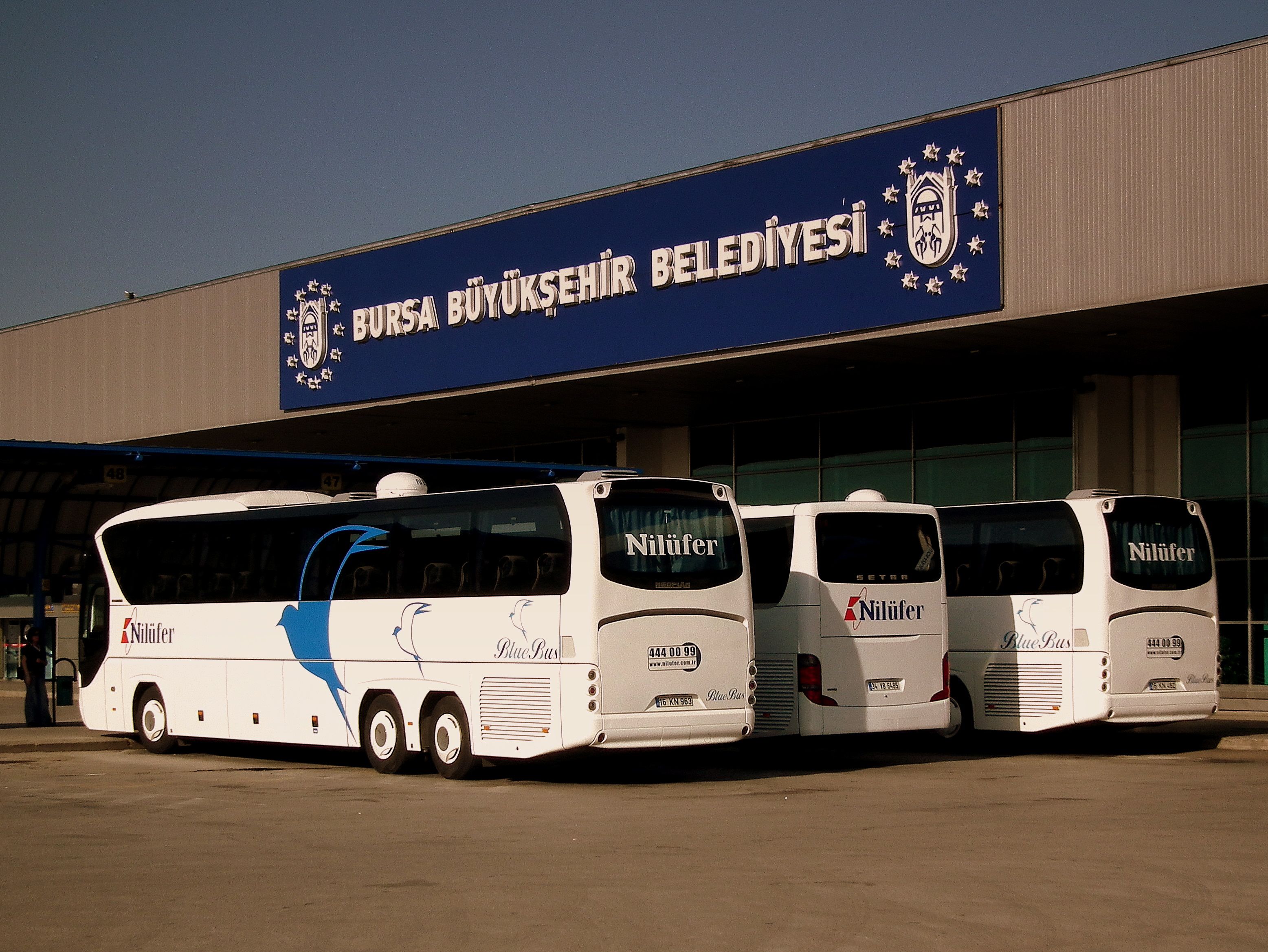 Transport autobusowy w Turcji