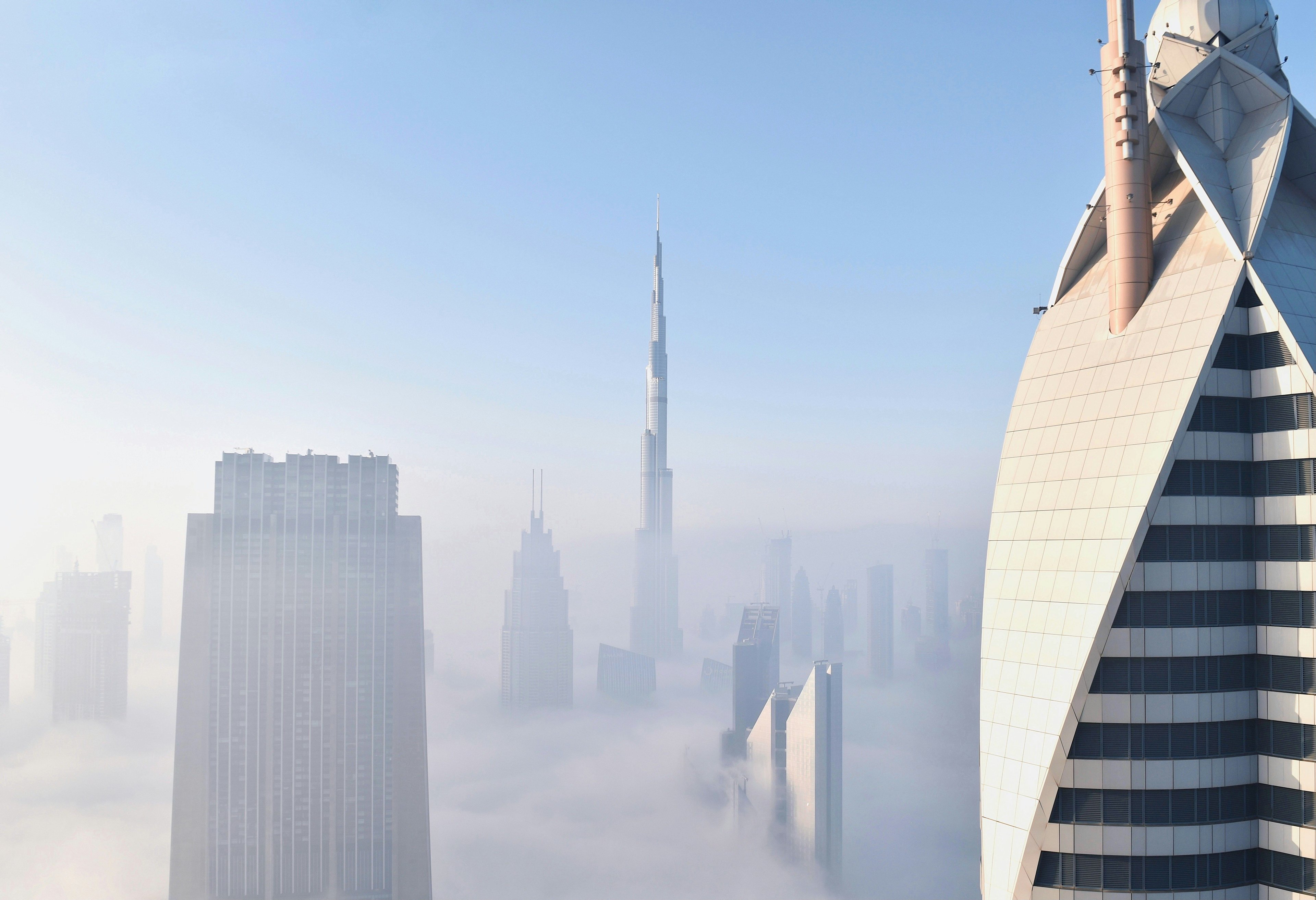 Miniaturka artykułu