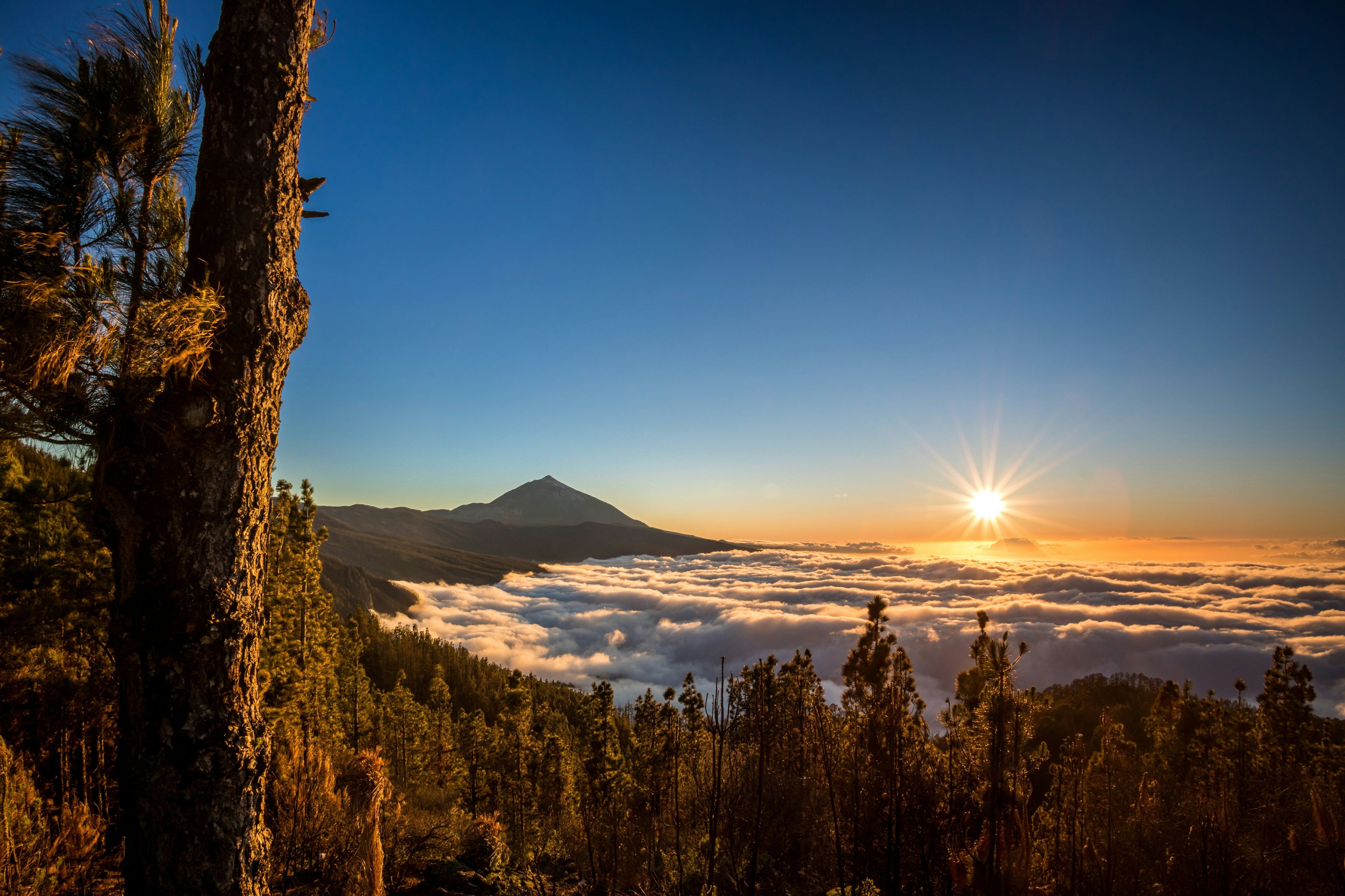 Entrance to the Teide volcano will be subject to a fee