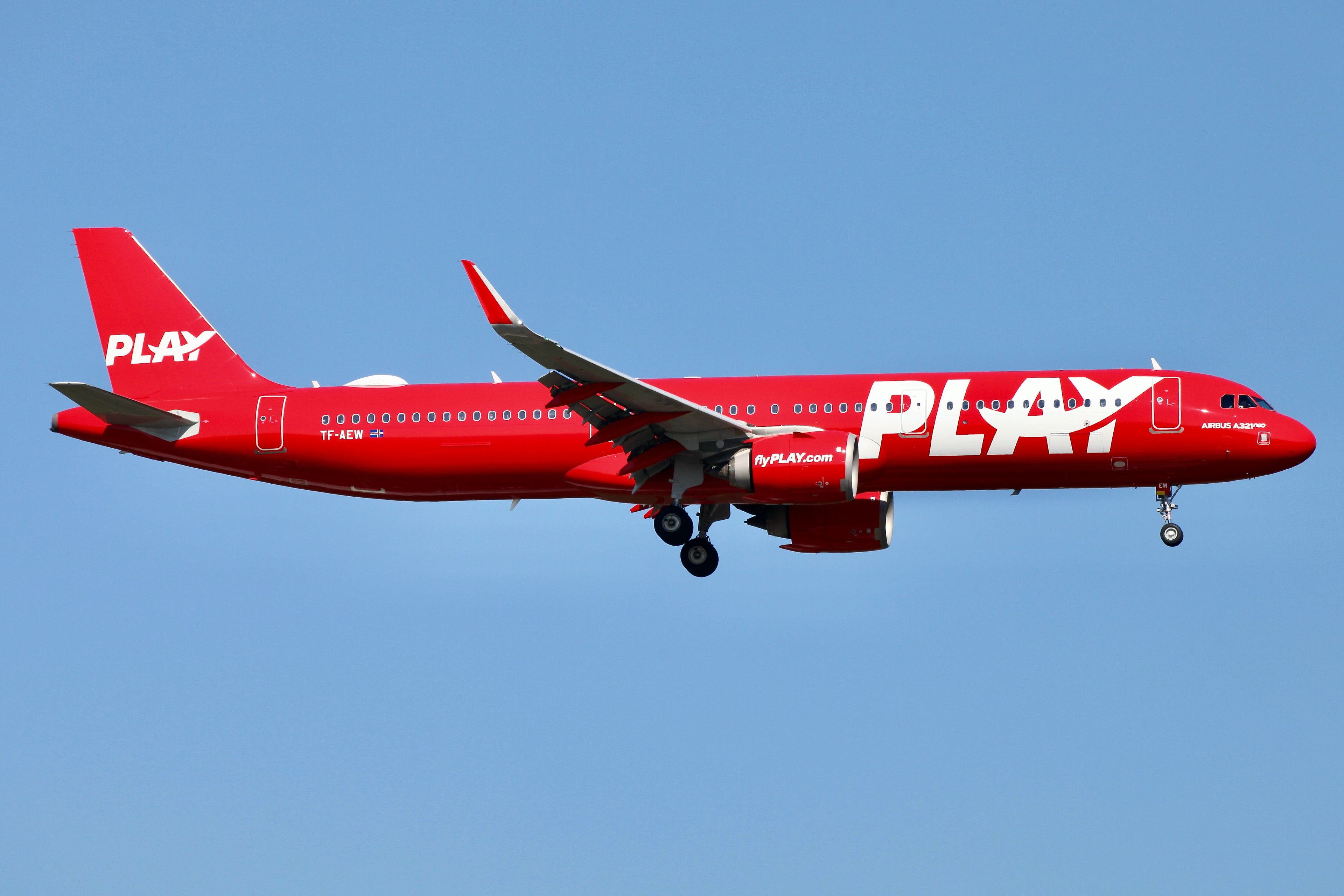 Fly Play Eurobasket