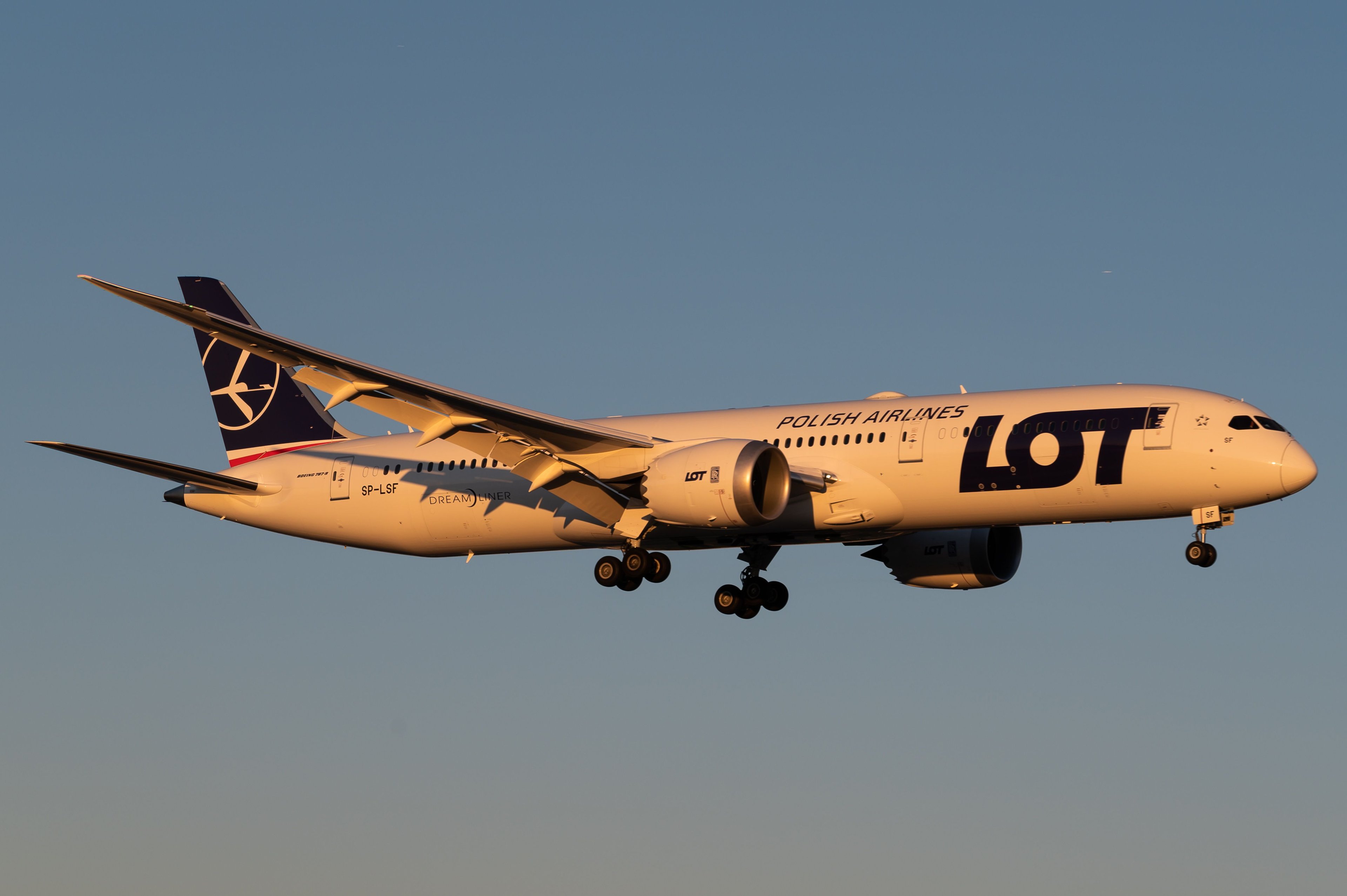 Dreamliner Polskich Linii Lotniczych LOT