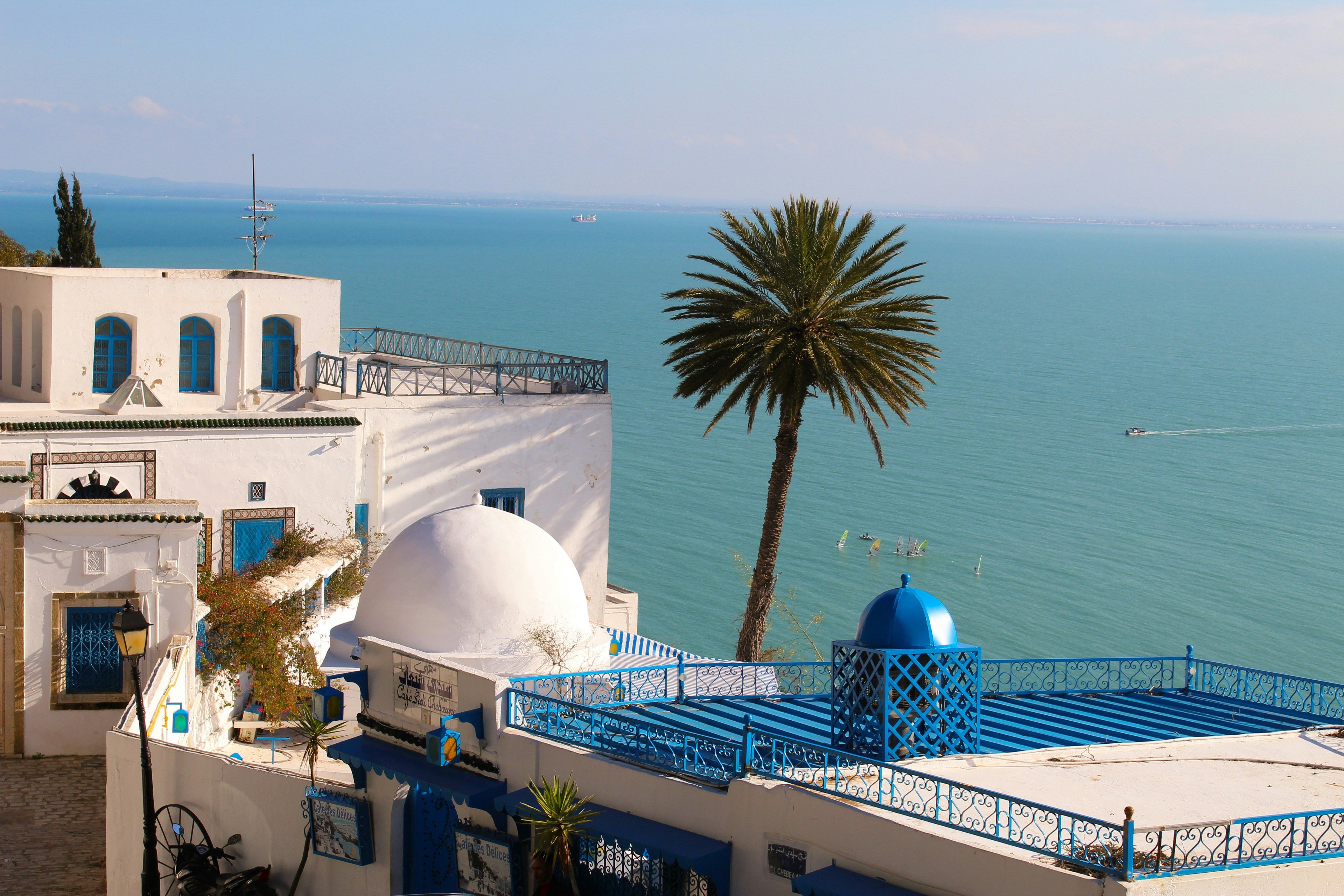 LOT Polish Airlines intends to resume flights to Tunisia