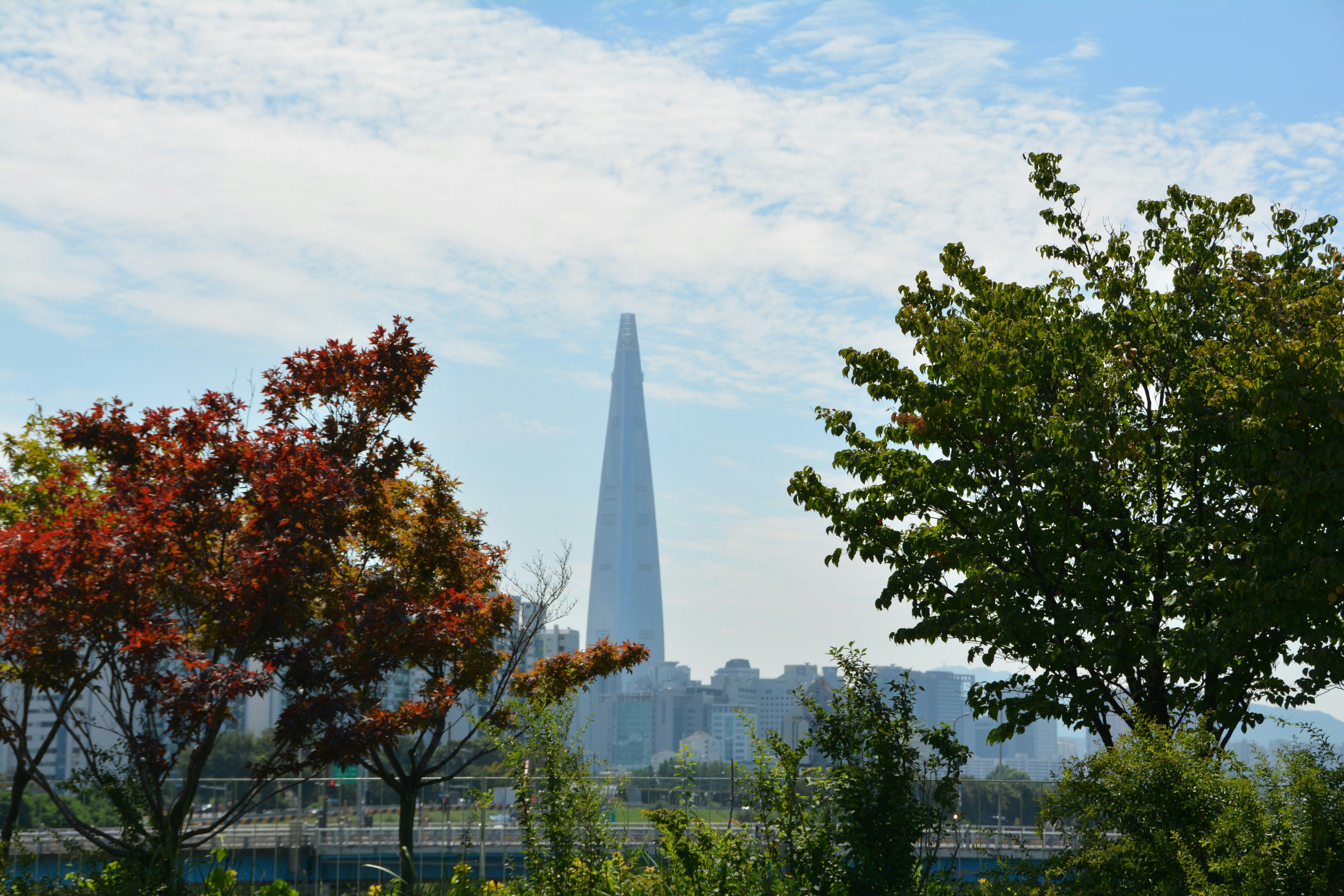 Lotte World Tower