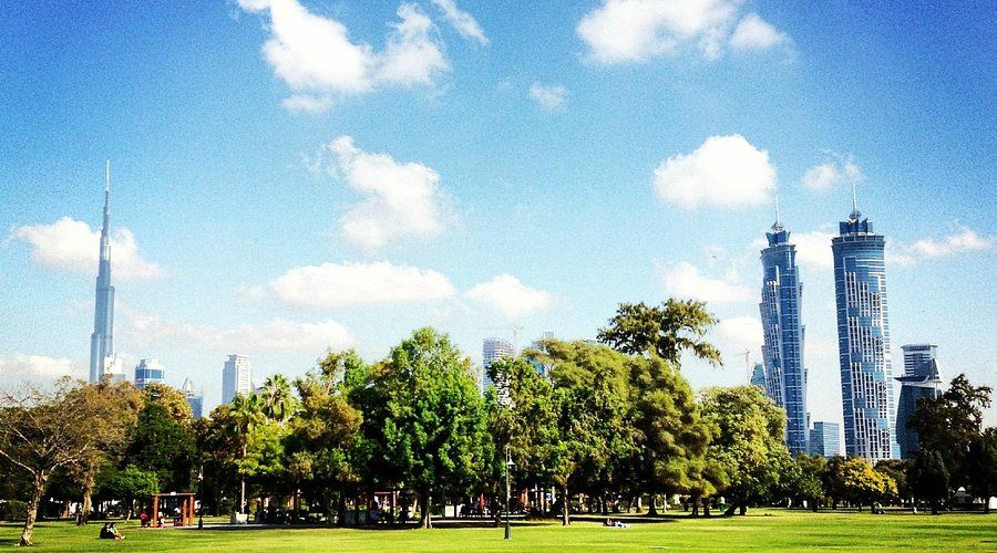 Dzielnica Al Safa w Dubaju