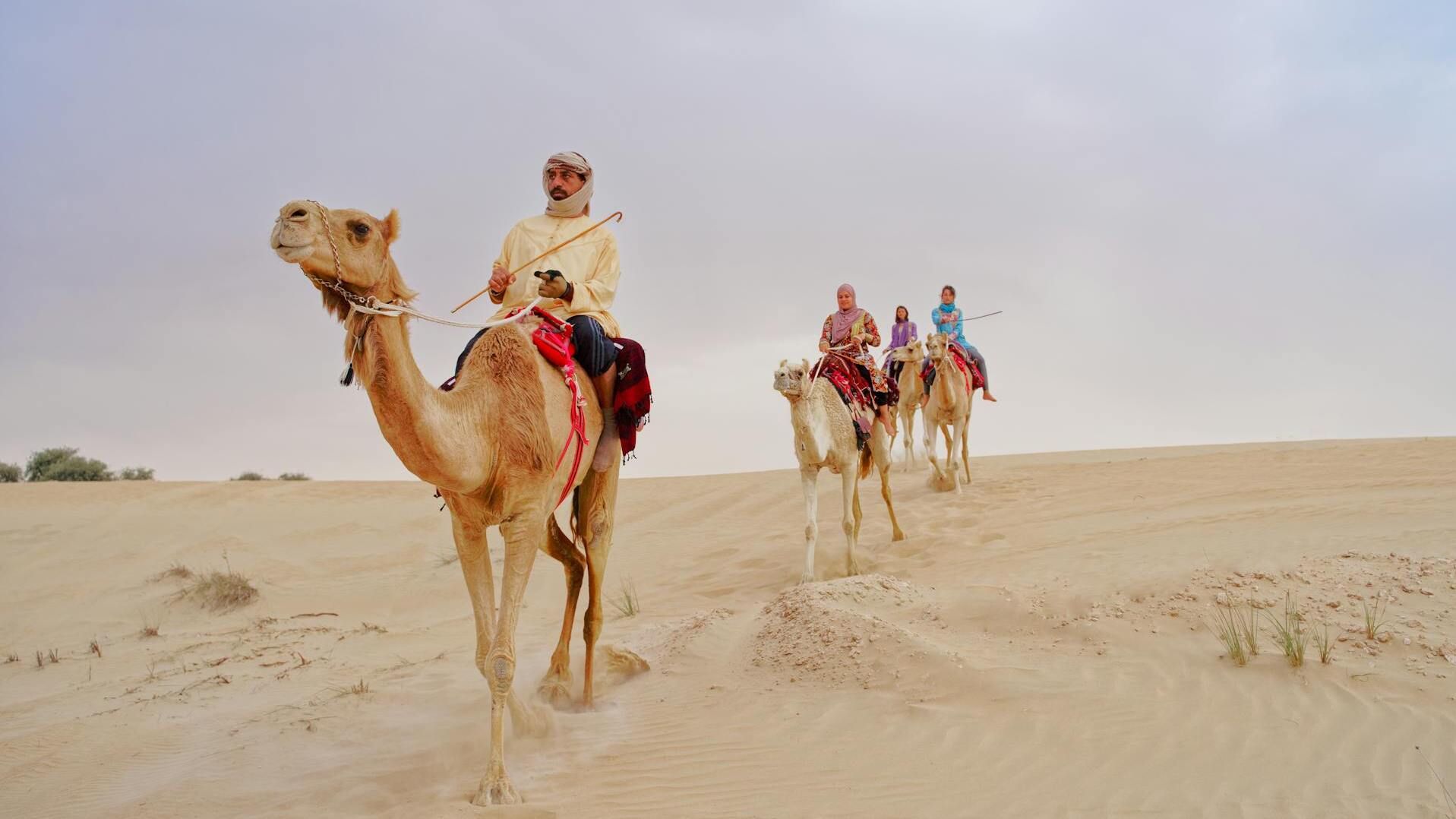 Ratacind prin desert.