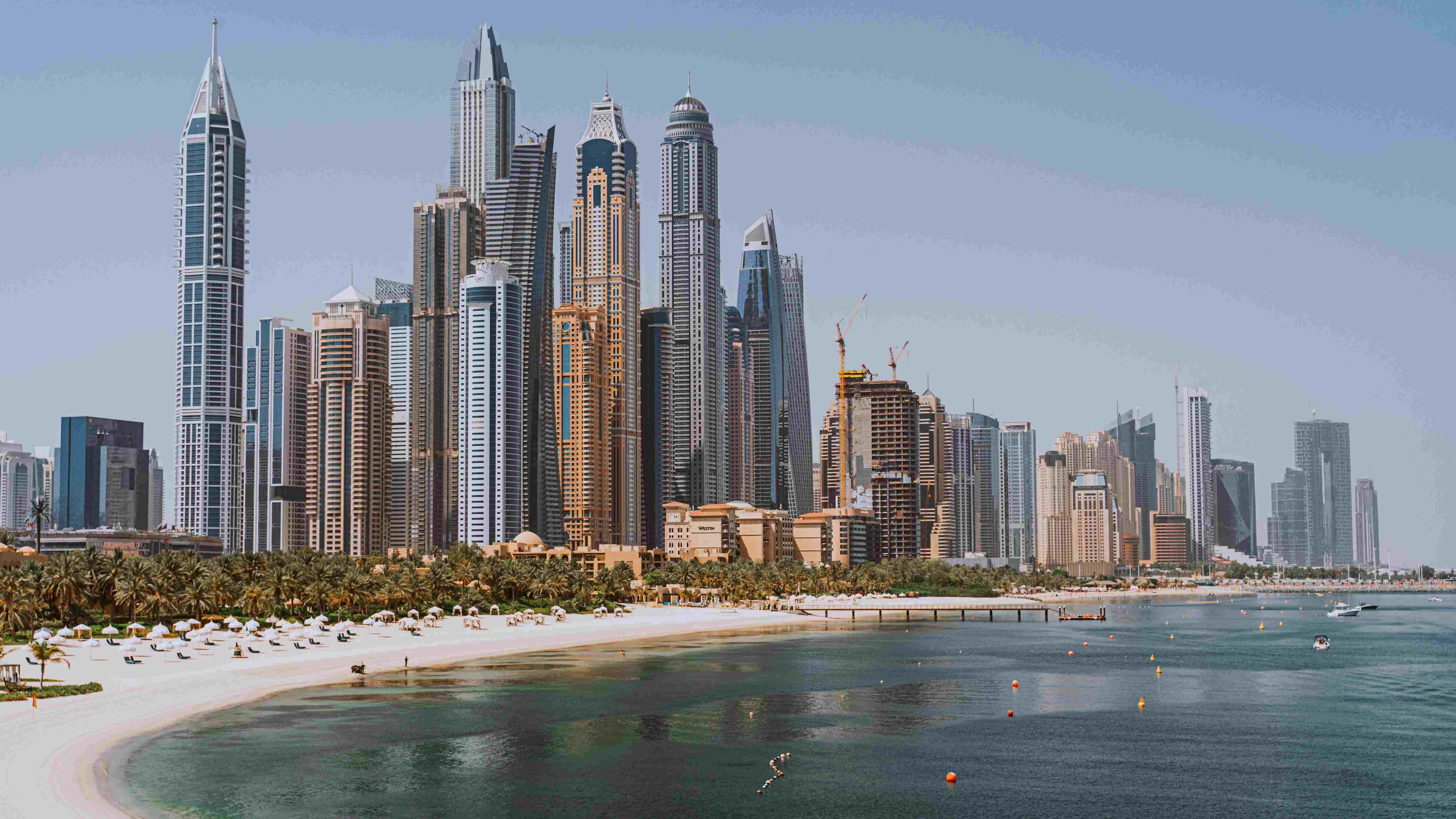Sunbathing on the shores of the Persian Gulf.